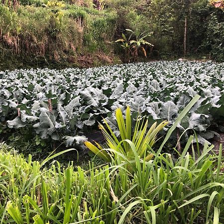 Buyan Lodge Lake View Villa بيدوغول المظهر الخارجي الصورة