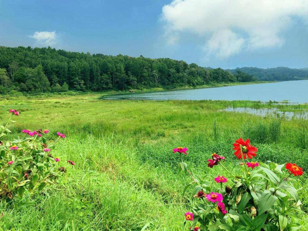 Buyan Lodge Lake View Villa بيدوغول المظهر الخارجي الصورة