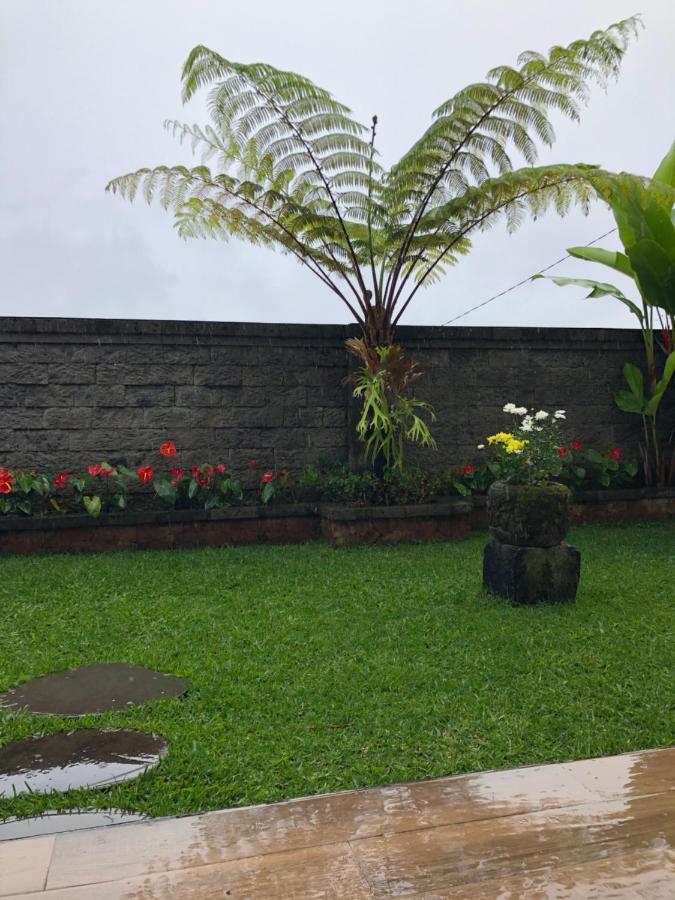 Buyan Lodge Lake View Villa بيدوغول المظهر الخارجي الصورة